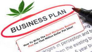 Marijuana Business Plans lawyers Montana
